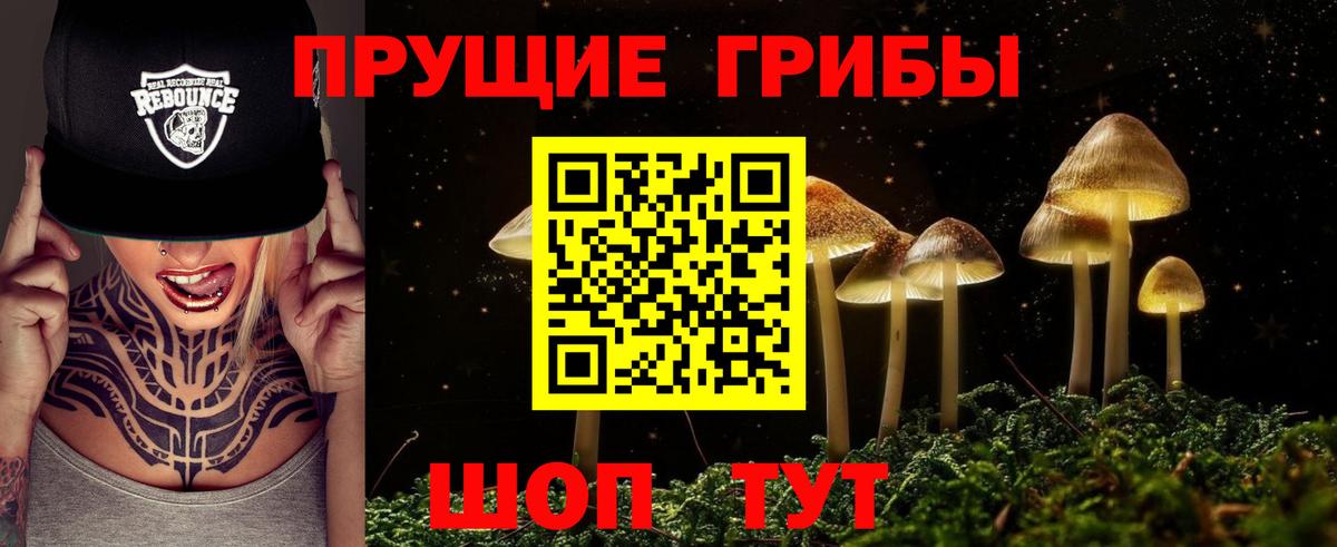 Псилоцибиновые грибы MAGIC MUSHROOMS  где продают наркотики  Волгодонск  Вход с VPN 