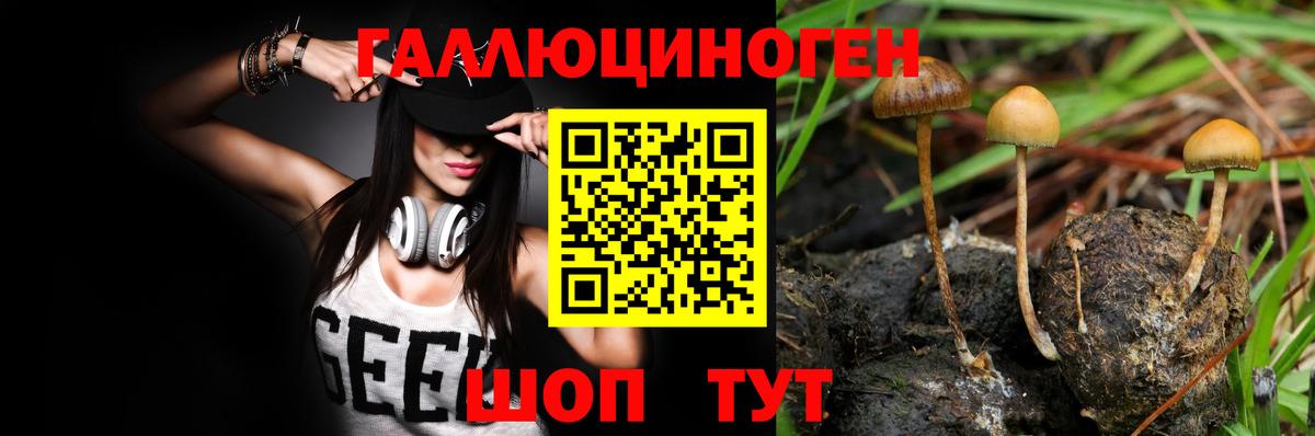 Псилоцибиновые грибы Magic Shrooms Волгодонск